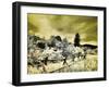 USA, Utah, Infrared of the Logan Pass area with split rai fence-Terry Eggers-Framed Photographic Print