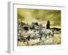 USA, Utah, Infrared of the Logan Pass area with split rai fence-Terry Eggers-Framed Photographic Print