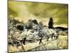 USA, Utah, Infrared of the Logan Pass area with split rai fence-Terry Eggers-Mounted Photographic Print