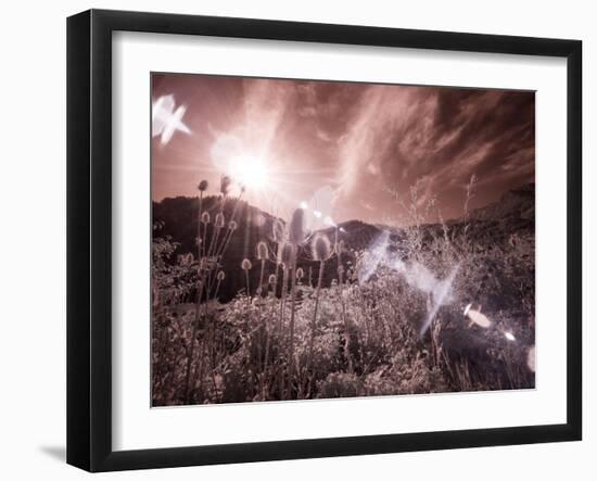 USA, Utah, Infrared of the Logan Pass area with sunrays-Terry Eggers-Framed Photographic Print