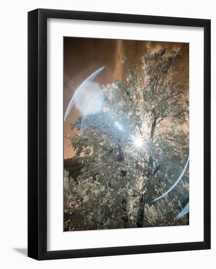 USA, Utah, Infrared of the Logan Pass area-Terry Eggers-Framed Photographic Print