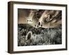 USA, Utah, Infrared of the Logan Pass area-Terry Eggers-Framed Photographic Print