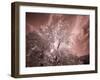 USA, Utah, Infrared of the Logan Pass area-Terry Eggers-Framed Photographic Print
