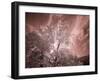 USA, Utah, Infrared of the Logan Pass area-Terry Eggers-Framed Photographic Print