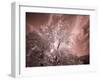 USA, Utah, Infrared of the Logan Pass area-Terry Eggers-Framed Photographic Print