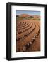 USA, Utah, Ivins, Red Mountain Resort, spiral meditation labyrinth. (PR)-Merrill Images-Framed Photographic Print