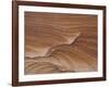 USA, Utah, Kanab. Patterns in eroded sandstone.-Jaynes Gallery-Framed Photographic Print