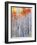 USA, Utah, Logan Pass. Autumn colors in Logan Pass Utah.-Julie Eggers-Framed Photographic Print