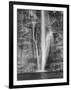 USA, Utah, Lower Calf Creek Falls Escalante, Utah, USA-John Ford-Framed Photographic Print