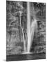 USA, Utah, Lower Calf Creek Falls Escalante, Utah, USA-John Ford-Mounted Photographic Print