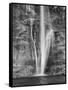 USA, Utah, Lower Calf Creek Falls Escalante, Utah, USA-John Ford-Framed Stretched Canvas