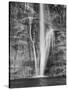 USA, Utah, Lower Calf Creek Falls Escalante, Utah, USA-John Ford-Stretched Canvas