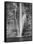 USA, Utah, Lower Calf Creek Falls Escalante, Utah, USA-John Ford-Framed Stretched Canvas