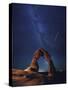 USA, Utah, Moab, Arches National Park, Delicate Arch and Milky Way-Michele Falzone-Stretched Canvas