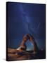 USA, Utah, Moab, Arches National Park, Delicate Arch and Milky Way-Michele Falzone-Stretched Canvas