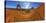 Usa, Utah, Moab, Arches National Park, Delicate Arch-Alan Copson-Stretched Canvas