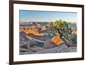 USA, Utah, Moab. Dead Horse State Park, Dead Horse Point in early morning-Hollice Looney-Framed Photographic Print