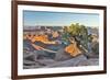 USA, Utah, Moab. Dead Horse State Park, Dead Horse Point in early morning-Hollice Looney-Framed Photographic Print