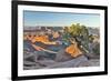 USA, Utah, Moab. Dead Horse State Park, Dead Horse Point in early morning-Hollice Looney-Framed Photographic Print