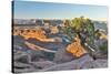 USA, Utah, Moab. Dead Horse State Park, Dead Horse Point in early morning-Hollice Looney-Stretched Canvas