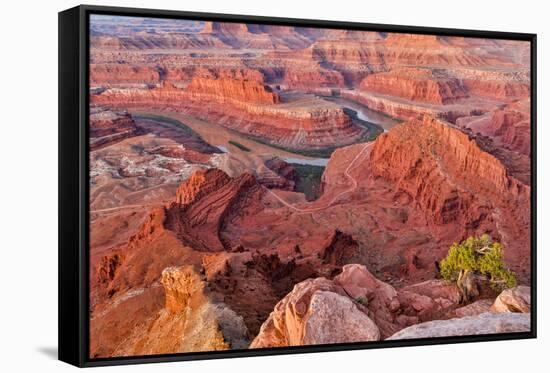 USA, Utah, Moab. Dead Horse State Park, Dead Horse Point in early morning-Hollice Looney-Framed Stretched Canvas