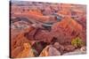 USA, Utah, Moab. Dead Horse State Park, Dead Horse Point in early morning-Hollice Looney-Stretched Canvas