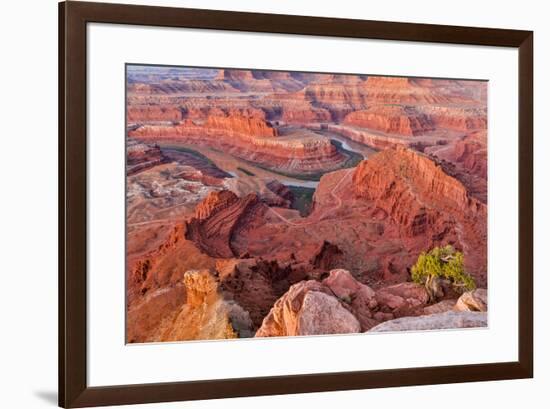 USA, Utah, Moab. Dead Horse State Park, Dead Horse Point in early morning-Hollice Looney-Framed Photographic Print