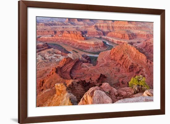 USA, Utah, Moab. Dead Horse State Park, Dead Horse Point in early morning-Hollice Looney-Framed Photographic Print