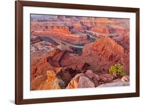 USA, Utah, Moab. Dead Horse State Park, Dead Horse Point in early morning-Hollice Looney-Framed Photographic Print