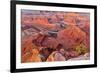 USA, Utah, Moab. Dead Horse State Park, Dead Horse Point in early morning-Hollice Looney-Framed Photographic Print