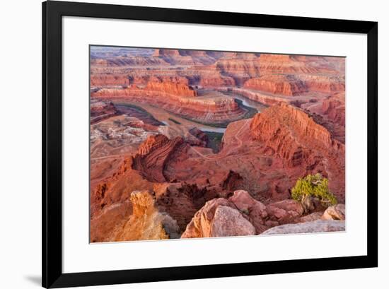 USA, Utah, Moab. Dead Horse State Park, Dead Horse Point in early morning-Hollice Looney-Framed Photographic Print