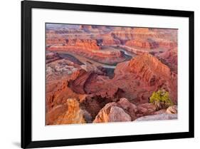 USA, Utah, Moab. Dead Horse State Park, Dead Horse Point in early morning-Hollice Looney-Framed Photographic Print