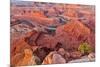 USA, Utah, Moab. Dead Horse State Park, Dead Horse Point in early morning-Hollice Looney-Mounted Photographic Print