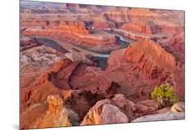 USA, Utah, Moab. Dead Horse State Park, Dead Horse Point in early morning-Hollice Looney-Mounted Photographic Print