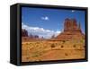 USA, Utah, Monument Valley. Mesas in the Middle of the Desert-Petr Bednarik-Framed Stretched Canvas