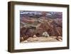 USA, Utah, Morning after Snow at Dead Horse Point, Canyonlands NP-John Ford-Framed Photographic Print