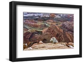 USA, Utah, Morning after Snow at Dead Horse Point, Canyonlands NP-John Ford-Framed Photographic Print