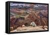 USA, Utah, Morning after Snow at Dead Horse Point, Canyonlands NP-John Ford-Framed Stretched Canvas