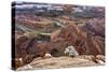 USA, Utah, Morning after Snow at Dead Horse Point, Canyonlands NP-John Ford-Stretched Canvas