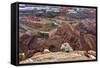 USA, Utah, Morning after Snow at Dead Horse Point, Canyonlands NP-John Ford-Framed Stretched Canvas