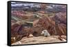 USA, Utah, Morning after Snow at Dead Horse Point, Canyonlands NP-John Ford-Framed Stretched Canvas