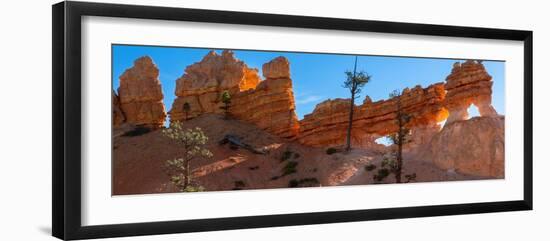 USA, Utah. Panoramic of ponderosa pine and orange and white hoodoos, Bryce Canyon National Park.-Judith Zimmerman-Framed Photographic Print