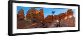 USA, Utah. Panoramic of ponderosa pine and orange and white hoodoos, Bryce Canyon National Park.-Judith Zimmerman-Framed Photographic Print