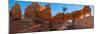 USA, Utah. Panoramic of ponderosa pine and orange and white hoodoos, Bryce Canyon National Park.-Judith Zimmerman-Mounted Photographic Print