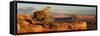 USA, Utah. Panoramic of twisted juniper at an overlook, Dead Horse Point State Park.-Judith Zimmerman-Framed Stretched Canvas