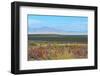 USA, Utah. Pony Express Road, Fish Springs National Wildlife Refuge scenic landscape views.-Bernard Friel-Framed Photographic Print