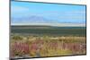 USA, Utah. Pony Express Road, Fish Springs National Wildlife Refuge scenic landscape views.-Bernard Friel-Mounted Photographic Print