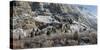 USA, Utah, Provo, Panoramic view of late afternoon light in Provo Canyon-Ann Collins-Stretched Canvas