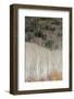 USA, Utah. Reflections on Warner Lake, Manti-La Sal National Forest.-Judith Zimmerman-Framed Photographic Print