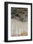 USA, Utah. Reflections on Warner Lake, Manti-La Sal National Forest.-Judith Zimmerman-Framed Photographic Print